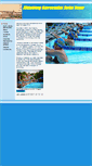 Mobile Screenshot of barracudasswimteam.org